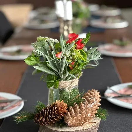 אכסניה Starite Borove