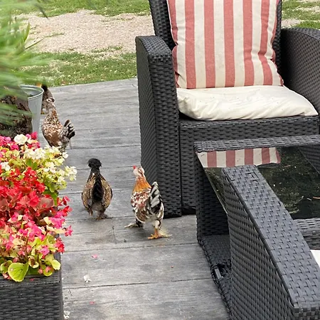 Starite Borove Jaktstuga *