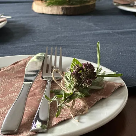 Starite Borove Sinagovtsi