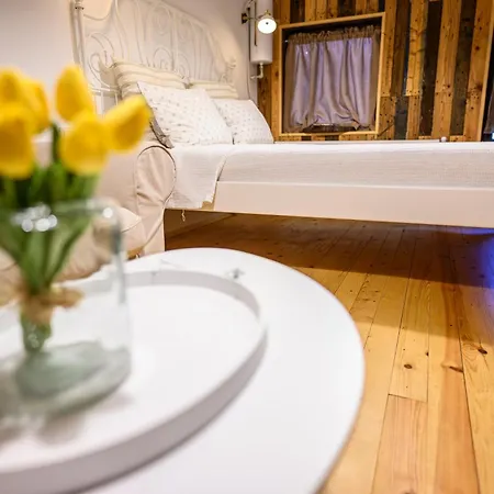 Lodge Starite Borove