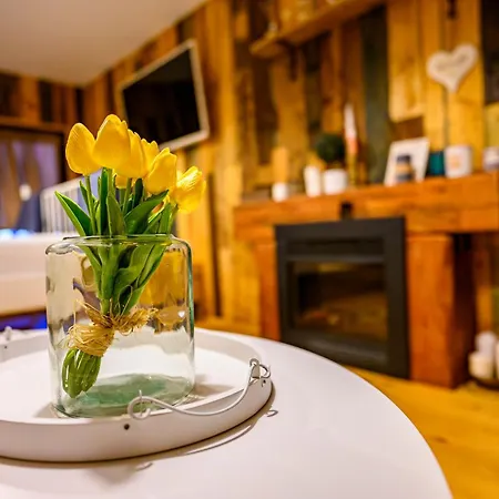 Starite Borove Sinagovtsi