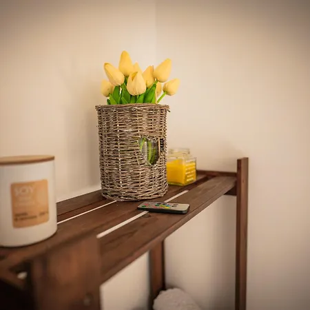 אכסניה Starite Borove *