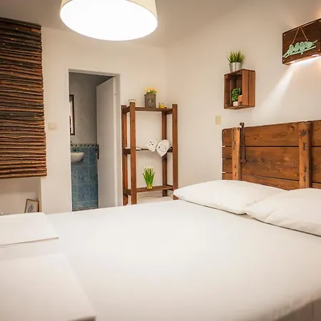 Starite Borove Sinagovtsi