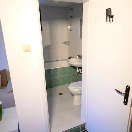 Starite Borove Sinagovtsi