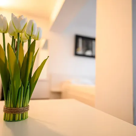 אכסניה Starite Borove