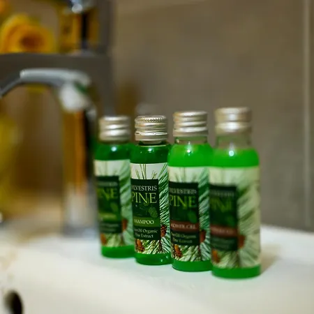 Starite Borove אכסניה