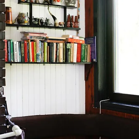 Starite Borove Sinagovtsi