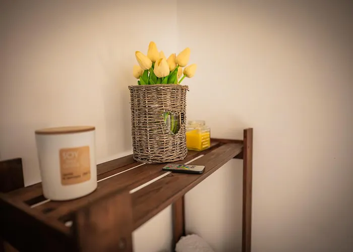 بيت خشبي Starite Borove *