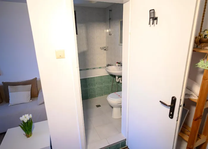 Starite Borove Sinagovtsi