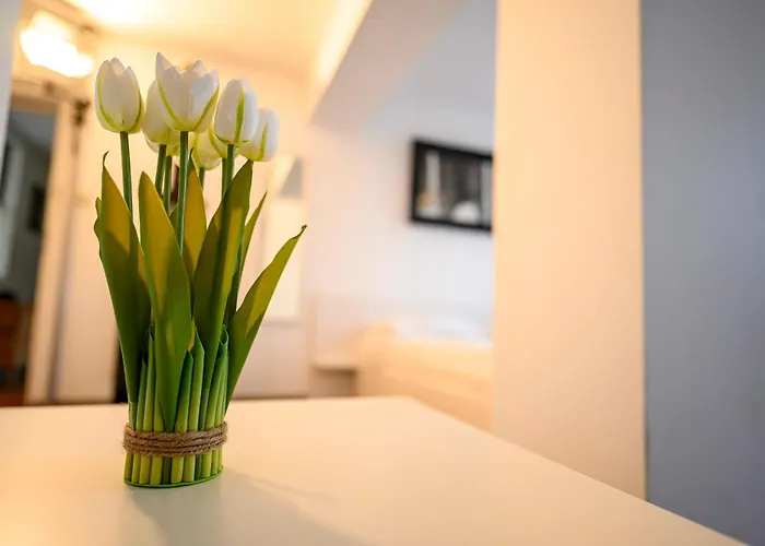 بيت خشبي Starite Borove