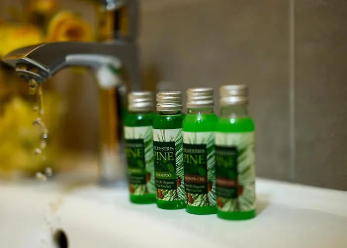 Starite Borove بيت خشبي